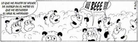 Fauna del Sábado Noche (Julio 2009)