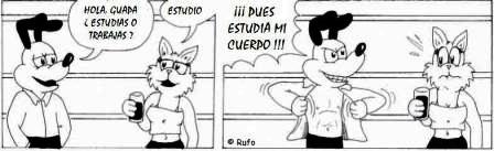 Fauna del Sábado Noche (Noviembre 2009)